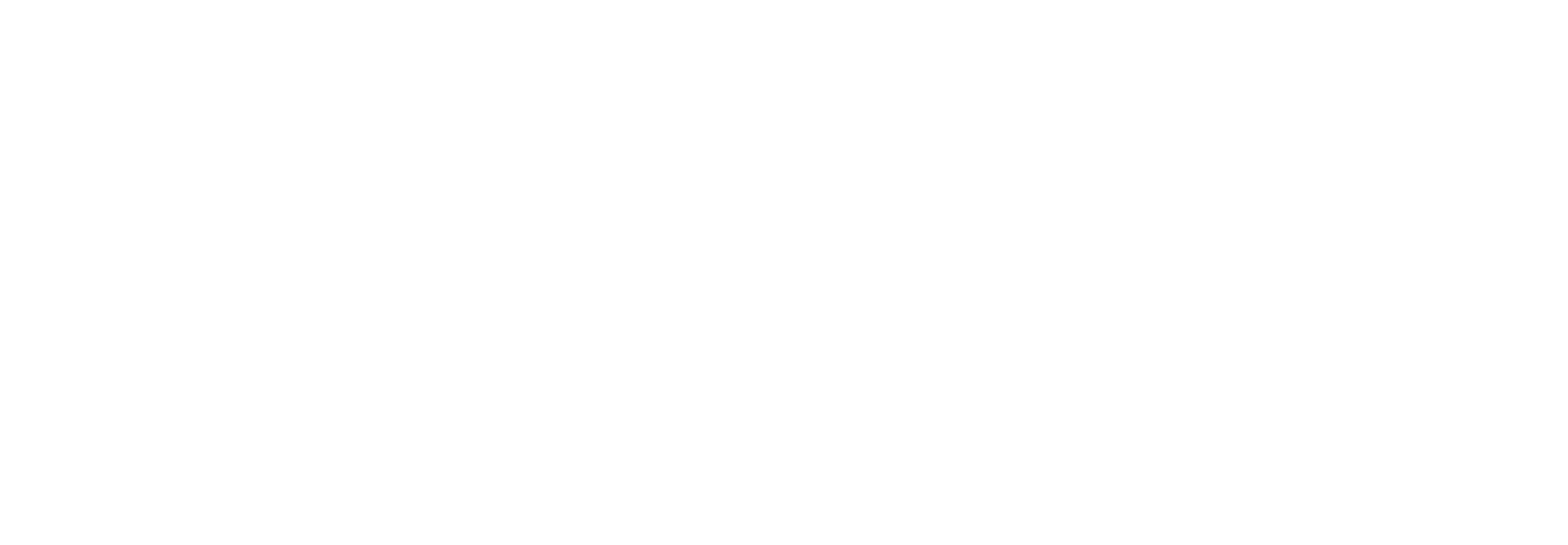 North Star IT logo