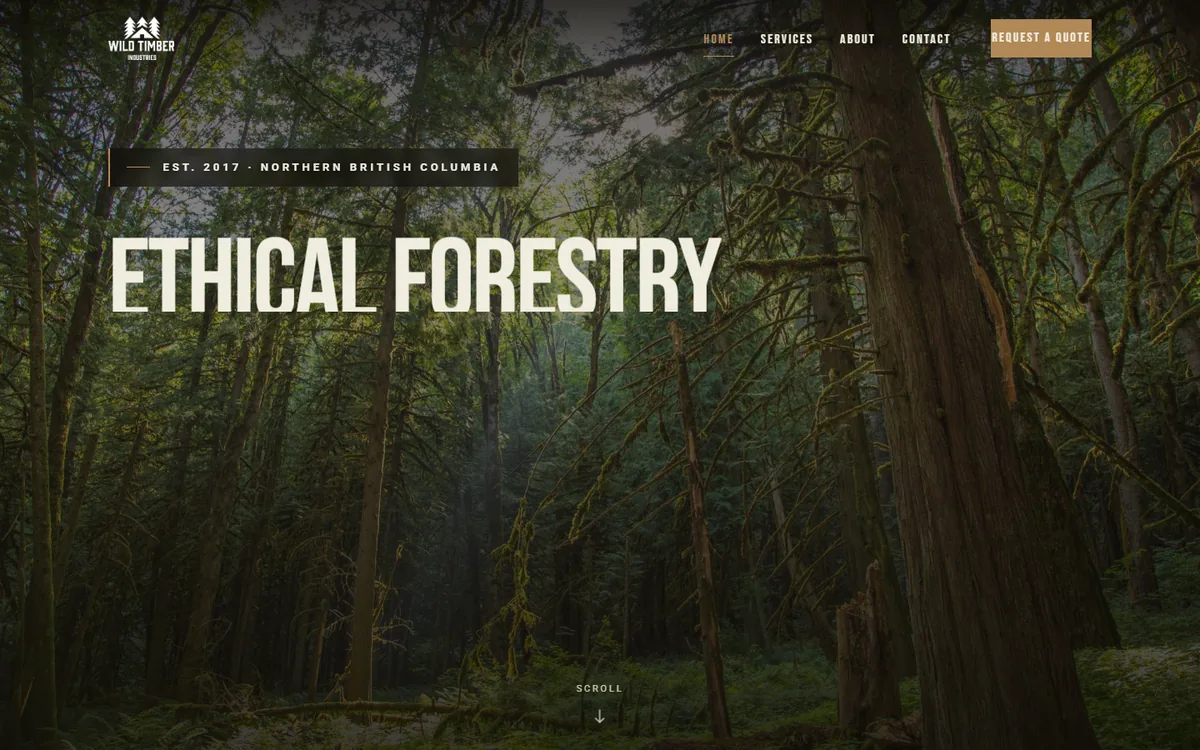 Wild Timber Industries homepage screenshot — dense northern BC forest with the headline 'Ethical Forestry'